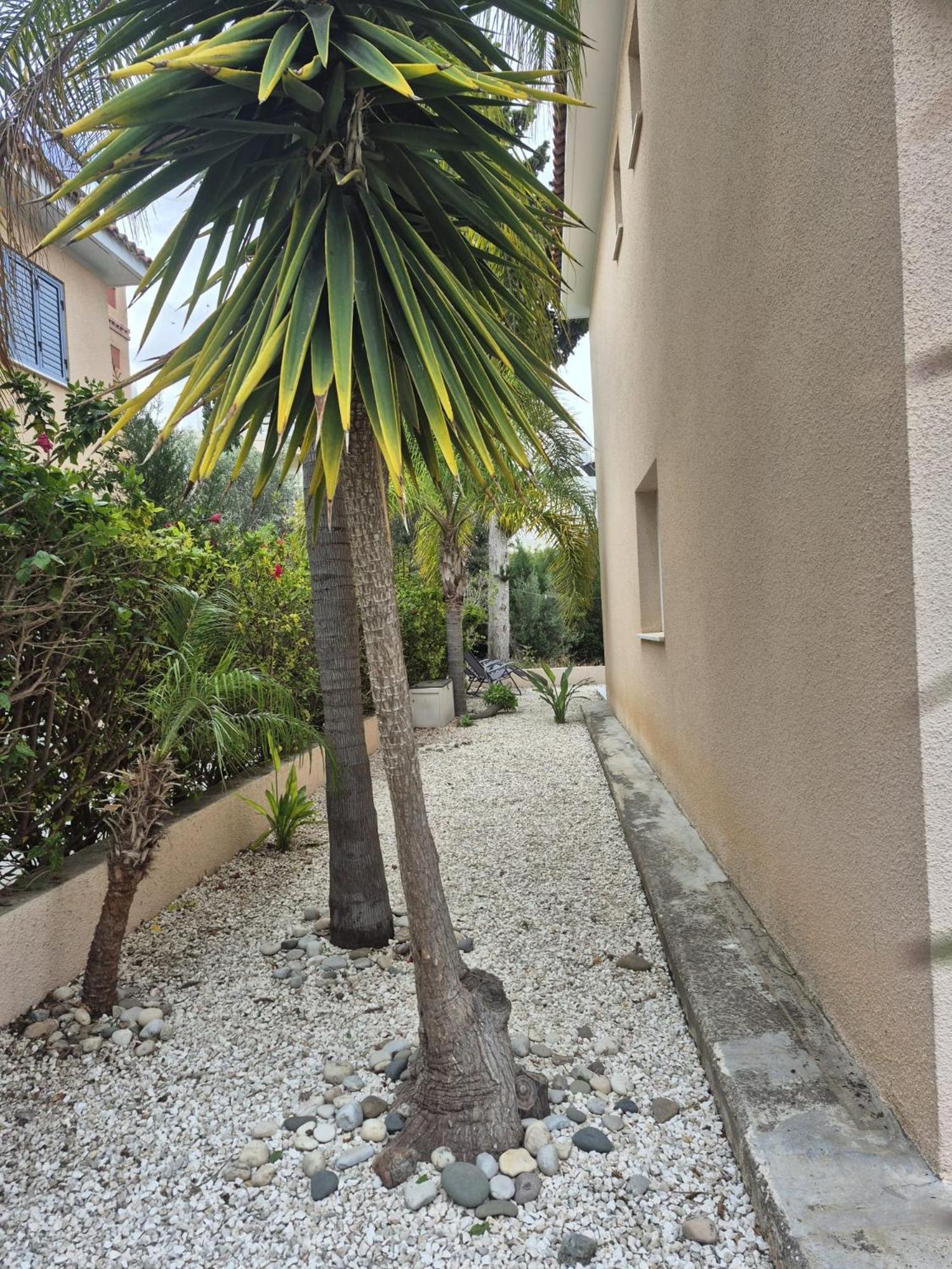 Casa Del Sol Townhouse In Iris Village Paphos Ngoại thất bức ảnh